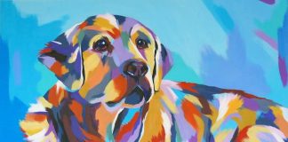 Vibrant Portraits Of Animals And People by Ellie Benton