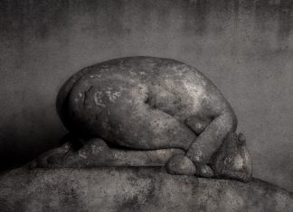 Black and White Photography by Roberto Kusterle