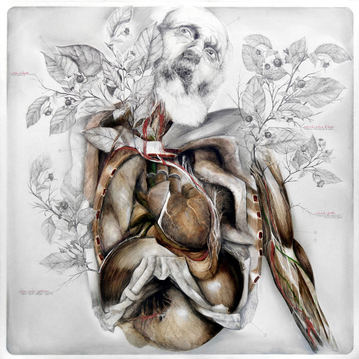 Nunzio Paci's Anatomical Art Explores The Relationship Between Man And Nature