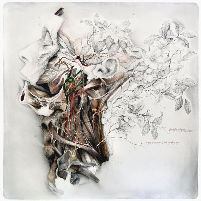 Anatomical Art Explores The Relationship Between Man And Nature