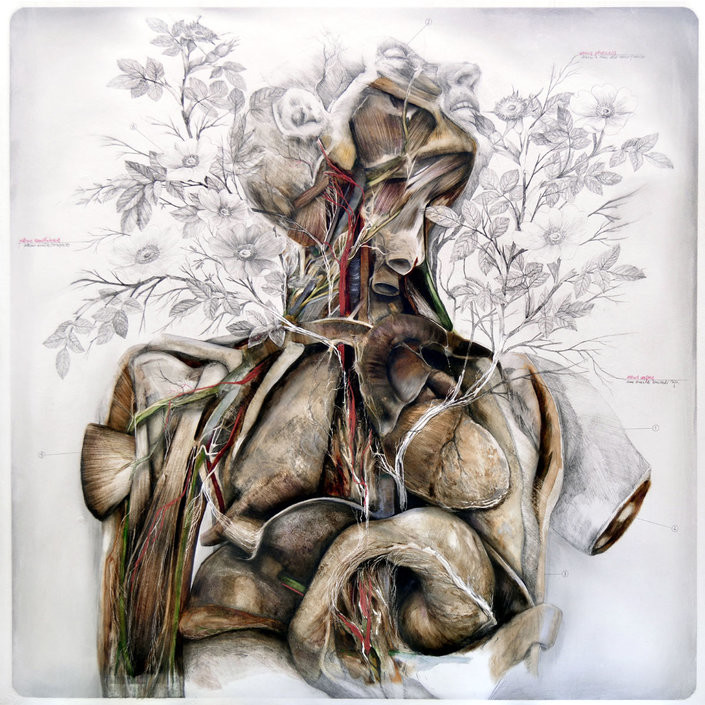 Nunzio Paci's Anatomical Art Explores The Relationship Between Man And Nature