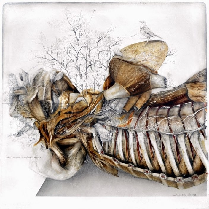 Anatomical Art Explores The Relationship Between Man And Nature