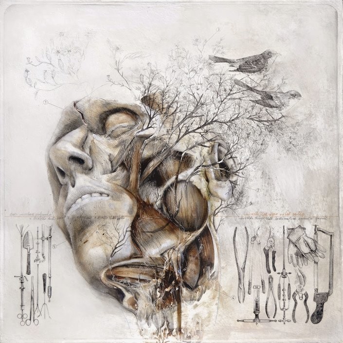 Nunzio Paci's Anatomical Art Explores The Relationship Between Man And Nature