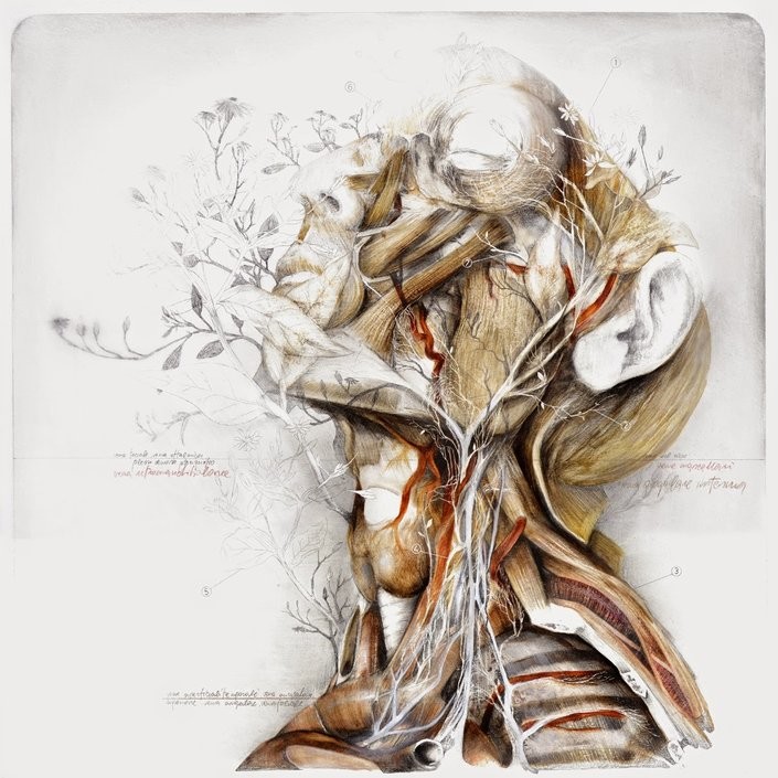 Anatomical Art Explores The Relationship Between Man And Nature