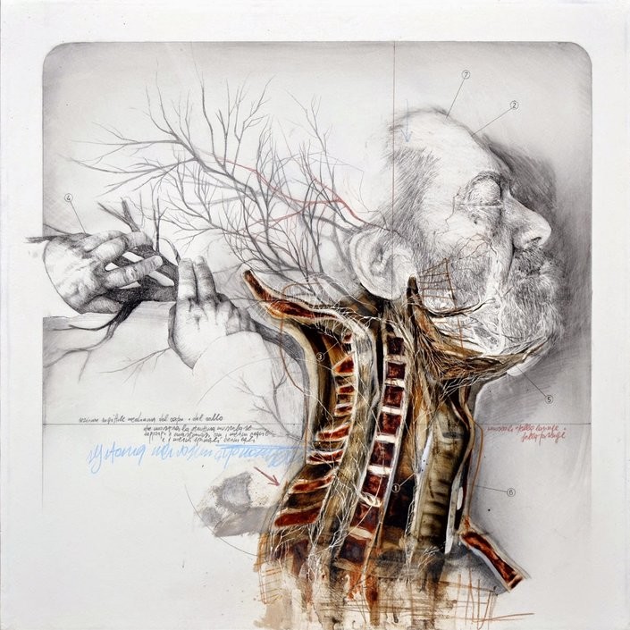 Anatomical Art Explores The Relationship Between Man And Nature