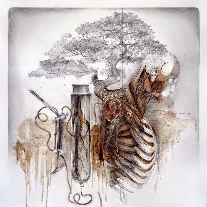 Nunzio Paci's Anatomical Art Explores The Relationship Between Man And Nature