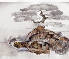 Nunzio Paci’s Anatomical Art Explores The Relationship Between Man And Nature