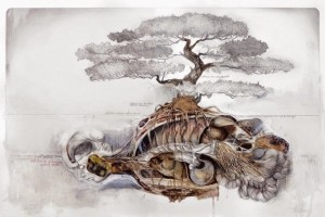 Nunzio Paci’s Anatomical Art Explores The Relationship Between Man And Nature