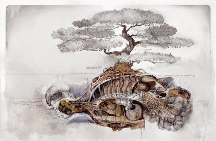 Anatomical Art Explores The Relationship Between Man And Nature