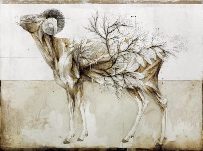 Nunzio Paci's Anatomical Art Explores The Relationship Between Man And Nature