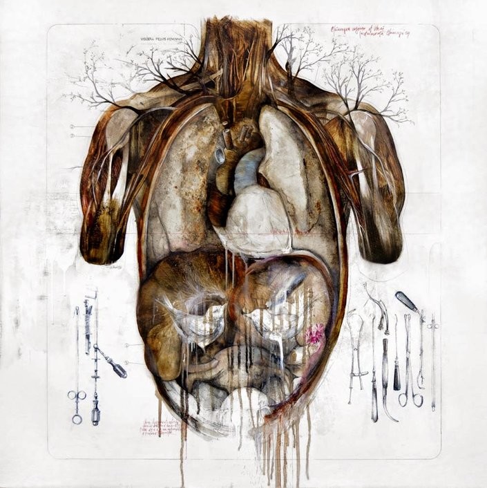Anatomical Art Explores The Relationship Between Man And Nature