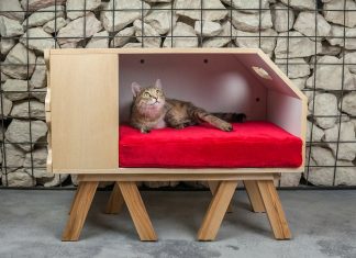 A multi-functional piece of furniture for you and your pet