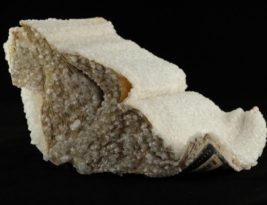 Crystallized Books by Alexis Arnold