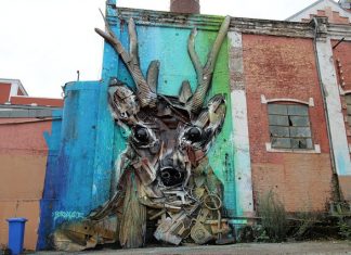 Portuguese street artist transforms trash into giant 3D animal portraits