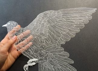 Delicate cut paper illustrations by Maude White
