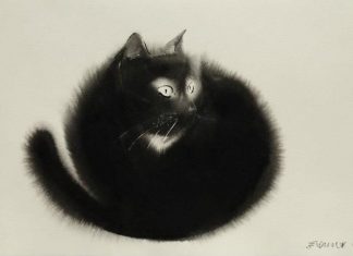 Endre Penovac’s Ink and Watercolor Cat Paintings
