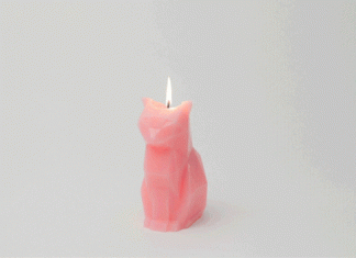 PyroPet, Cute Animal Candles Melt Into A Creepy Skeletons
