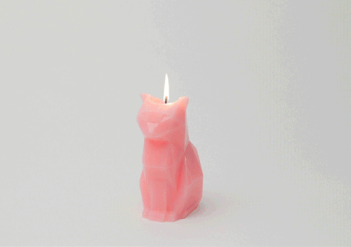 PyroPet, Cute Animal Candles Melt Into A Creepy Skeletons