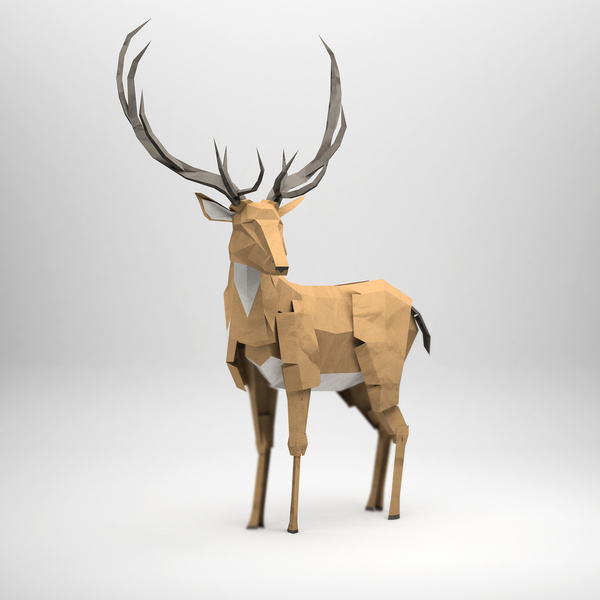 3D Digital Origami by Jeremy Kool