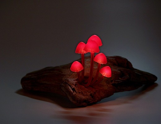 Colorful LED Mushroom Lights by Yukio Takano