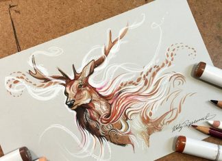 Katy Lipscomb's Colorful Wild Animal Illustrations