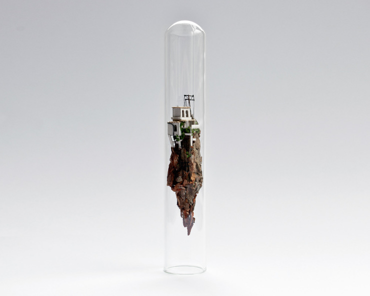 Miniature Worlds Encased In Test Tubes by Rosa de Jong