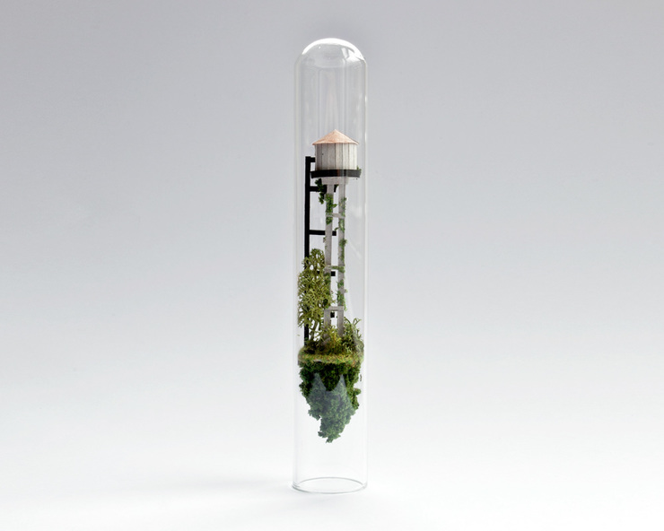 Miniature Worlds Encased In Test Tubes by Rosa de Jong