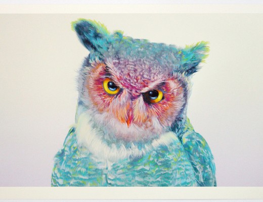Beautiful Photo-Realistic Owl Illustrations by John Pusateri