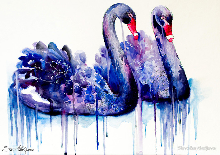 Colorful Animal Portraits By Slaveika Aladjova
