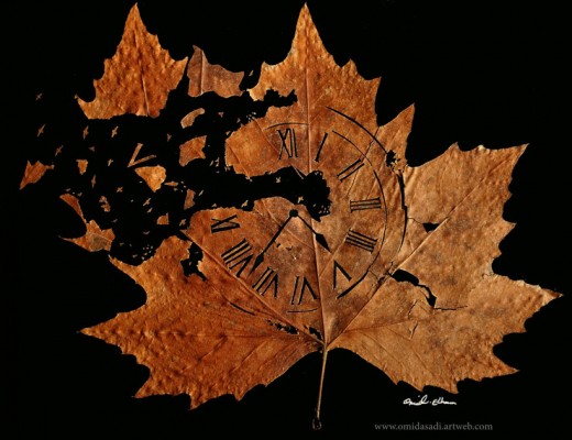 Delicate Leaf Cuttings by Omid Asadi