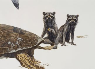 George Boorujy's Impressive Ink Paintings Of Wild Animals