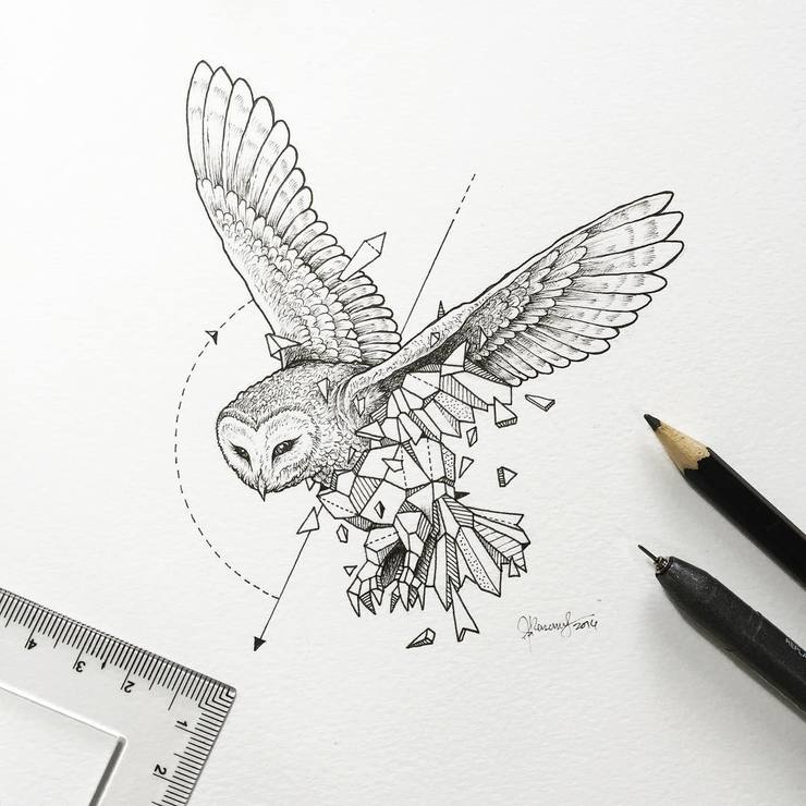 Abstract Geometric Animal Illustrations By Kerby Rosanes