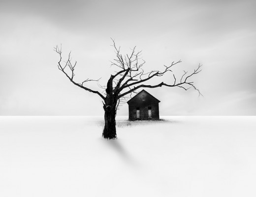 Beautiful Black and White Snowscapes by Vassilis Tangoulis
