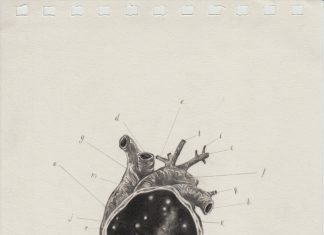 Surreal Pencil Drawings By Juan Osorno
