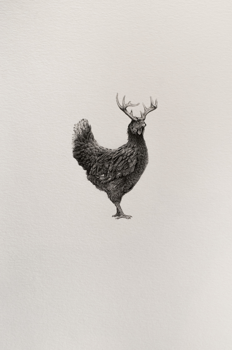 Bestiary of Improbable Animals by Mateo Pizarro