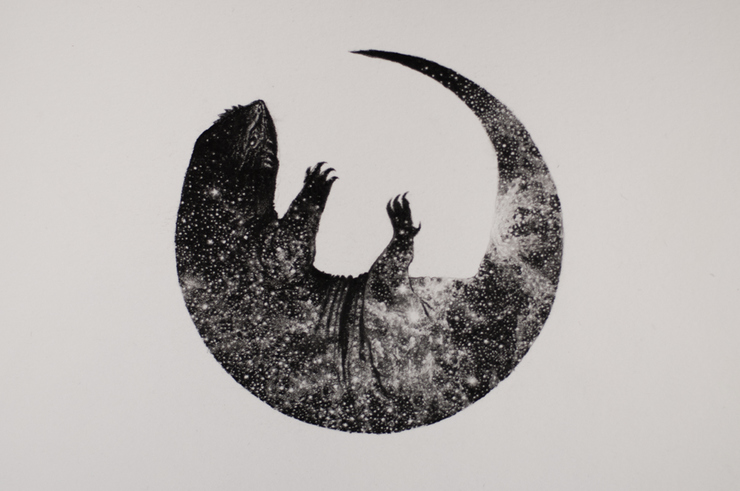 Bestiary of Improbable Animals by Mateo Pizarro