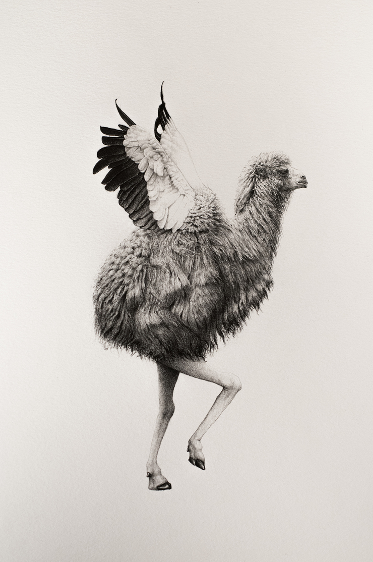Bestiary of Improbable Animals by Mateo Pizarro