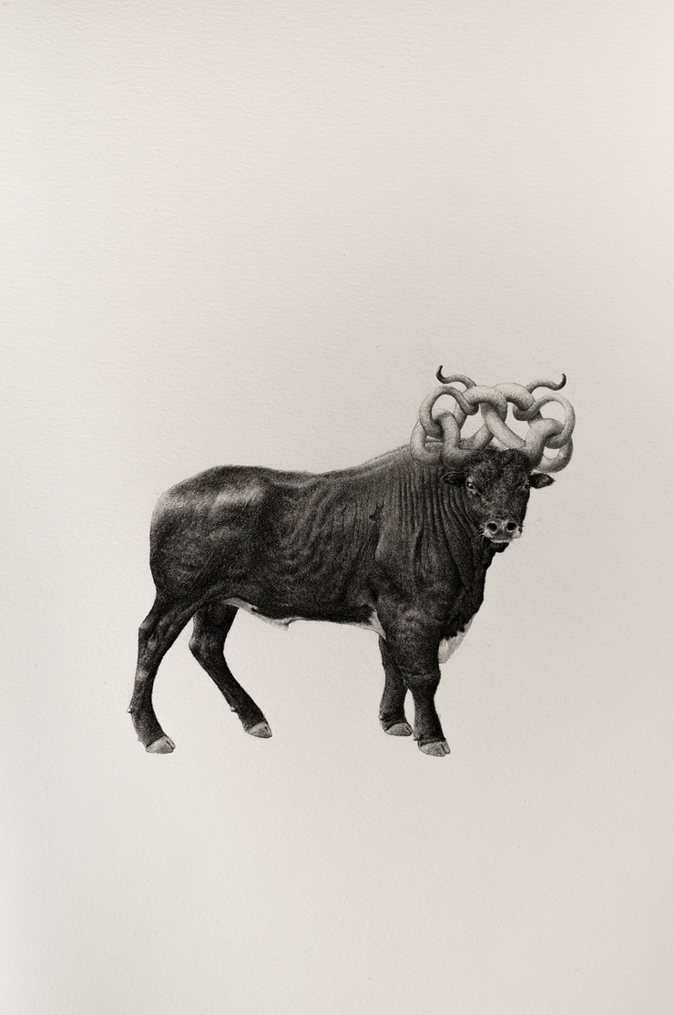 Bestiary of Improbable Animals by Mateo Pizarro