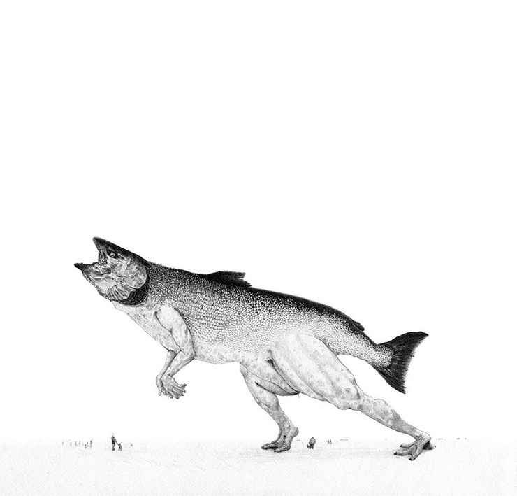 Bestiary of Improbable Animals by Mateo Pizarro