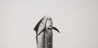 Bestiary of Improbable Animals by Mateo Pizarro