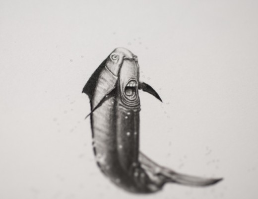 Bestiary of Improbable Animals by Mateo Pizarro