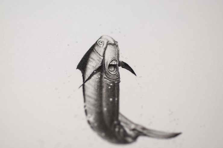 Bestiary of Improbable Animals by Mateo Pizarro