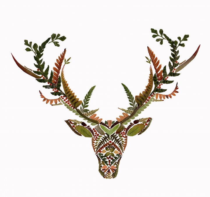 Delicate Wildlife Illustrations Made From Pressed Fern Leaves By Helen Ahpornsiri