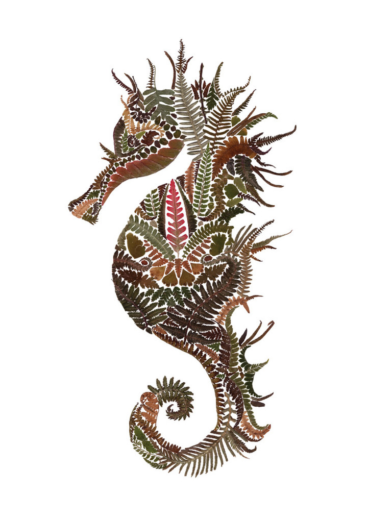 Delicate Wildlife Illustrations Made From Pressed Fern Leaves By Helen Ahpornsiri