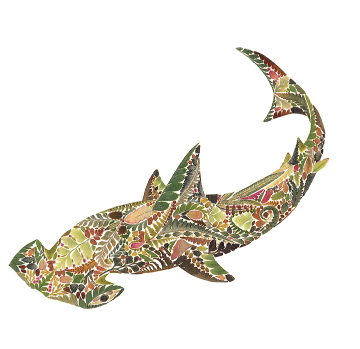 Delicate Wildlife Illustrations Made From Pressed Fern Leaves By Helen Ahpornsiri