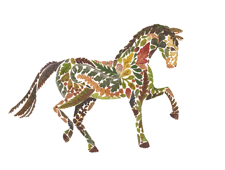 Delicate Wildlife Illustrations Made From Pressed Fern Leaves By Helen Ahpornsiri