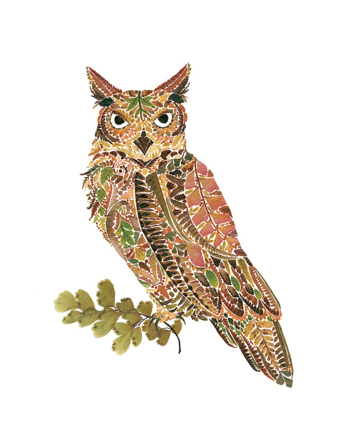 Delicate Wildlife Illustrations Made From Pressed Fern Leaves By Helen Ahpornsiri