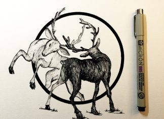 Daily Drawings by Derek Myers