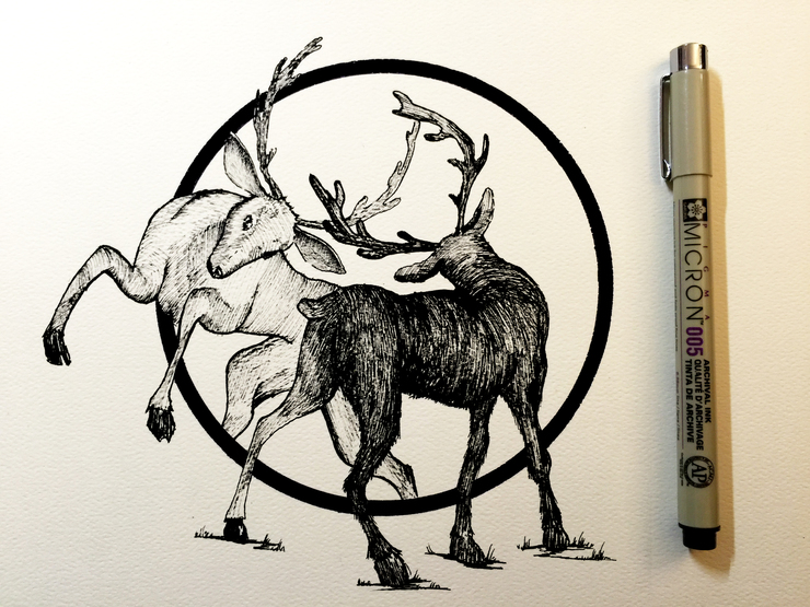 Daily Drawings by Derek Myers