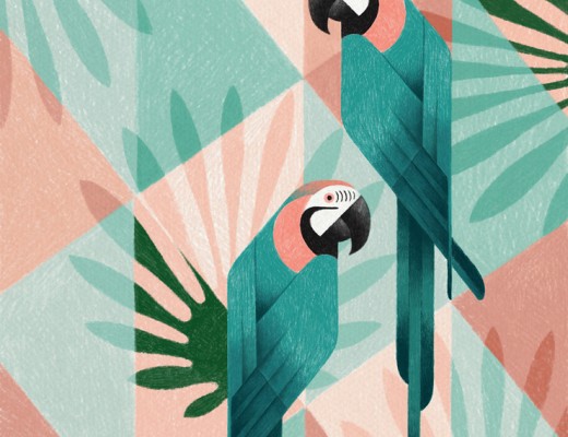 Geometric Bird Illustrations By Samy Halim